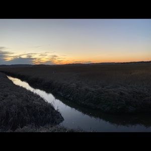 Meet your Posher, Claire